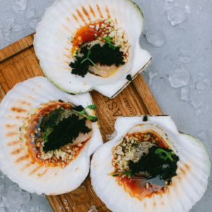 Scallop